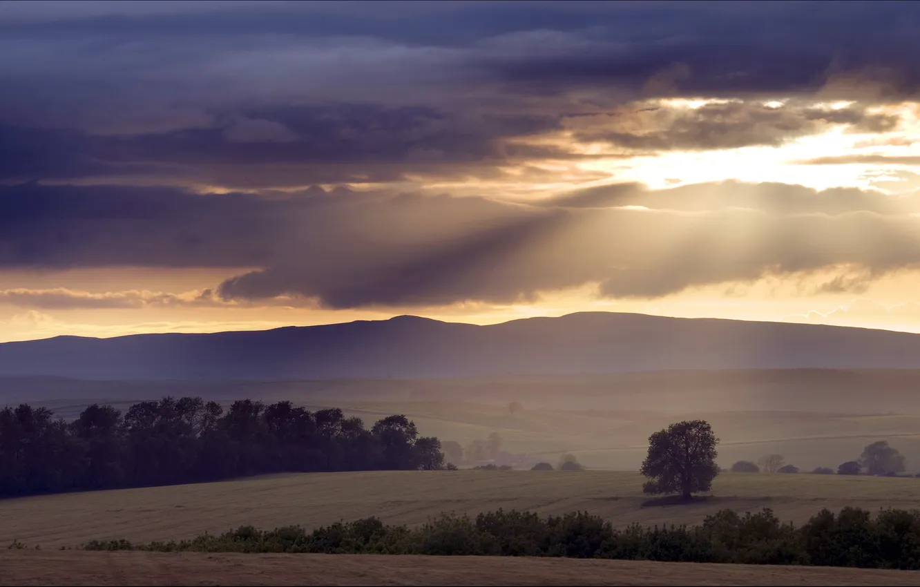 Photo wallpaper field, the sky, landscape, sunset