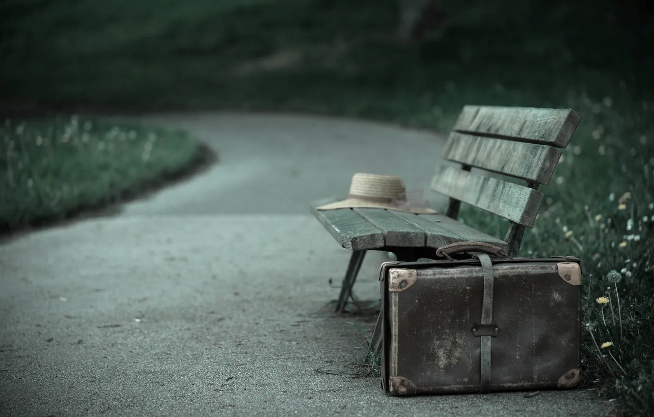 Photo wallpaper Park, suitcase, bench