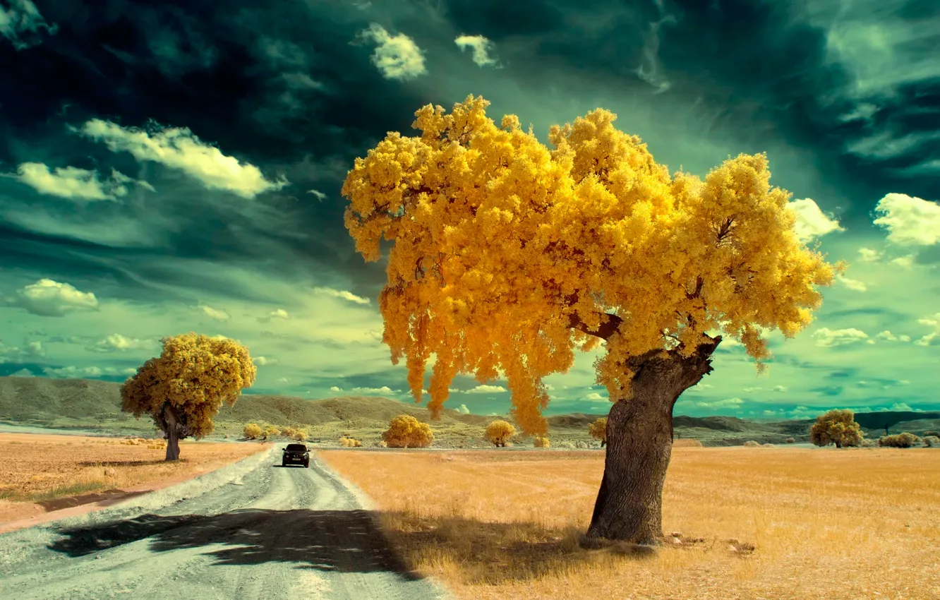 Photo wallpaper road, machine, trees, filter