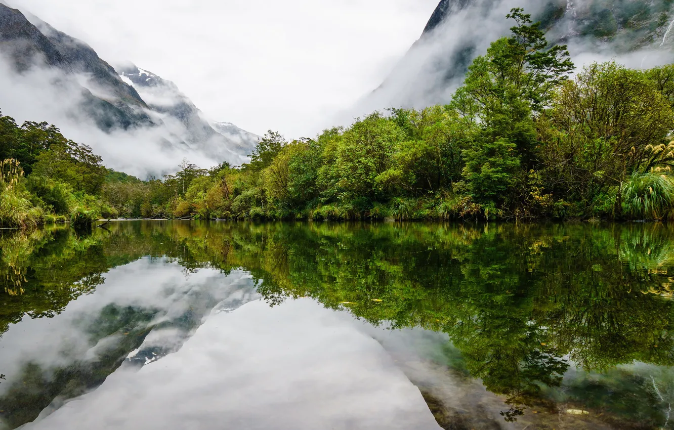 Photo wallpaper greens, forest, trees, mountains, fog, reflection, shore, slope