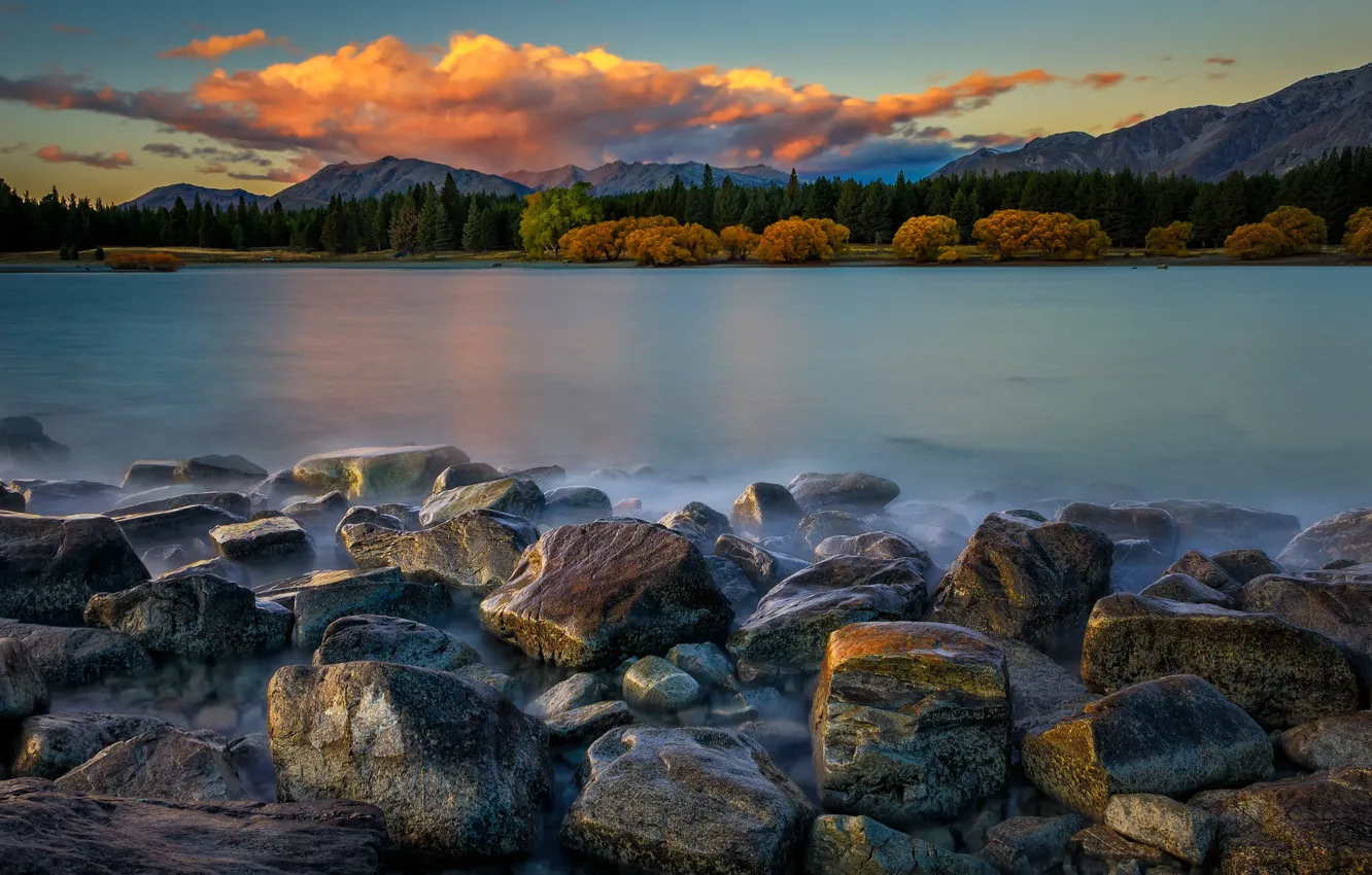 Photo wallpaper autumn, forest, trees, stones, shore, pond, stones