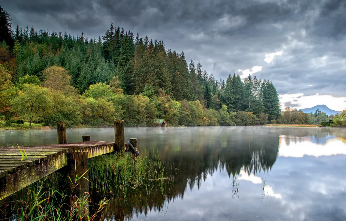 Photo wallpaper forest, clouds, lake, reflection, the bridge
