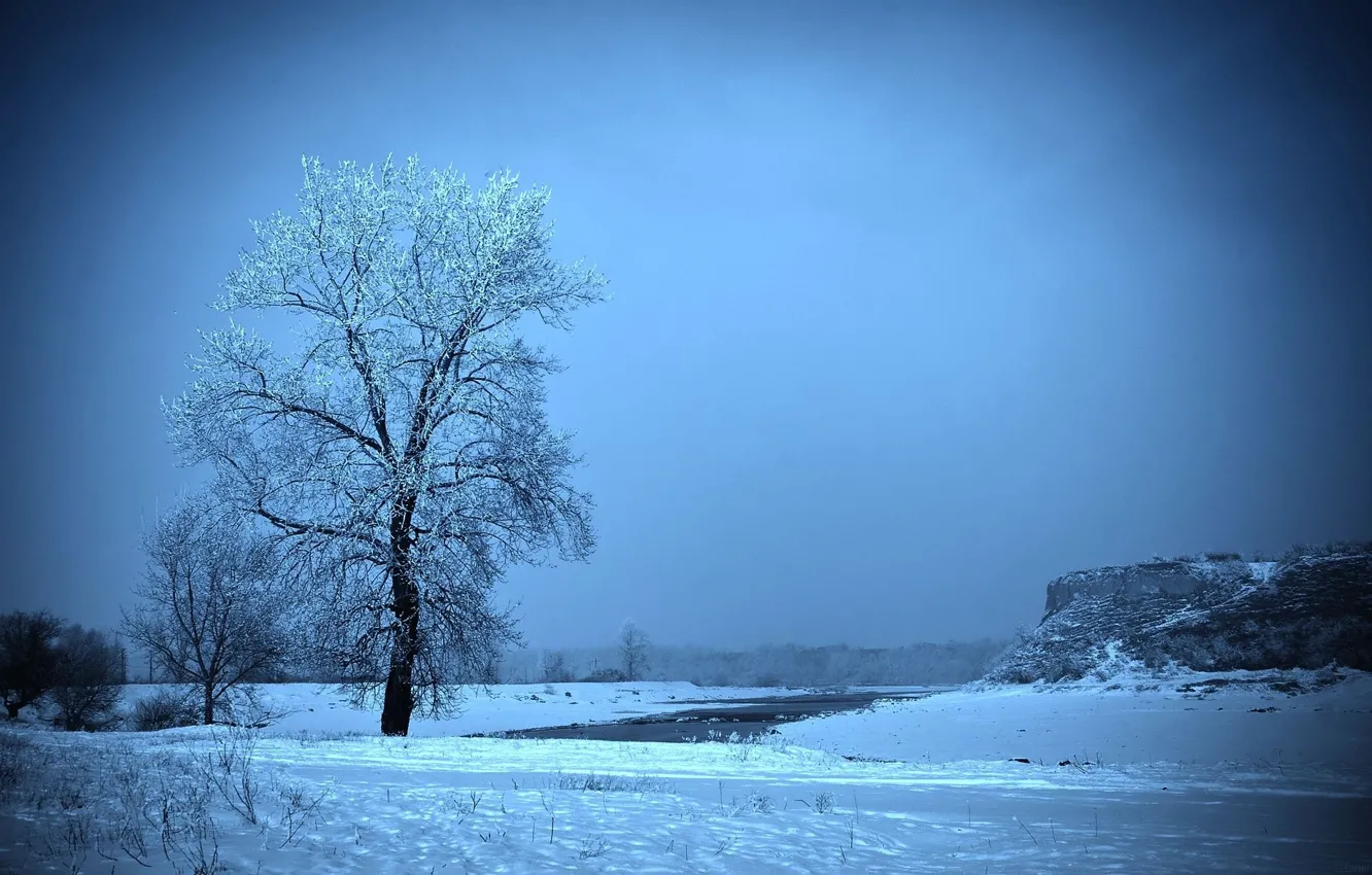 Photo wallpaper frost, field, snow, tree, Winter, slide