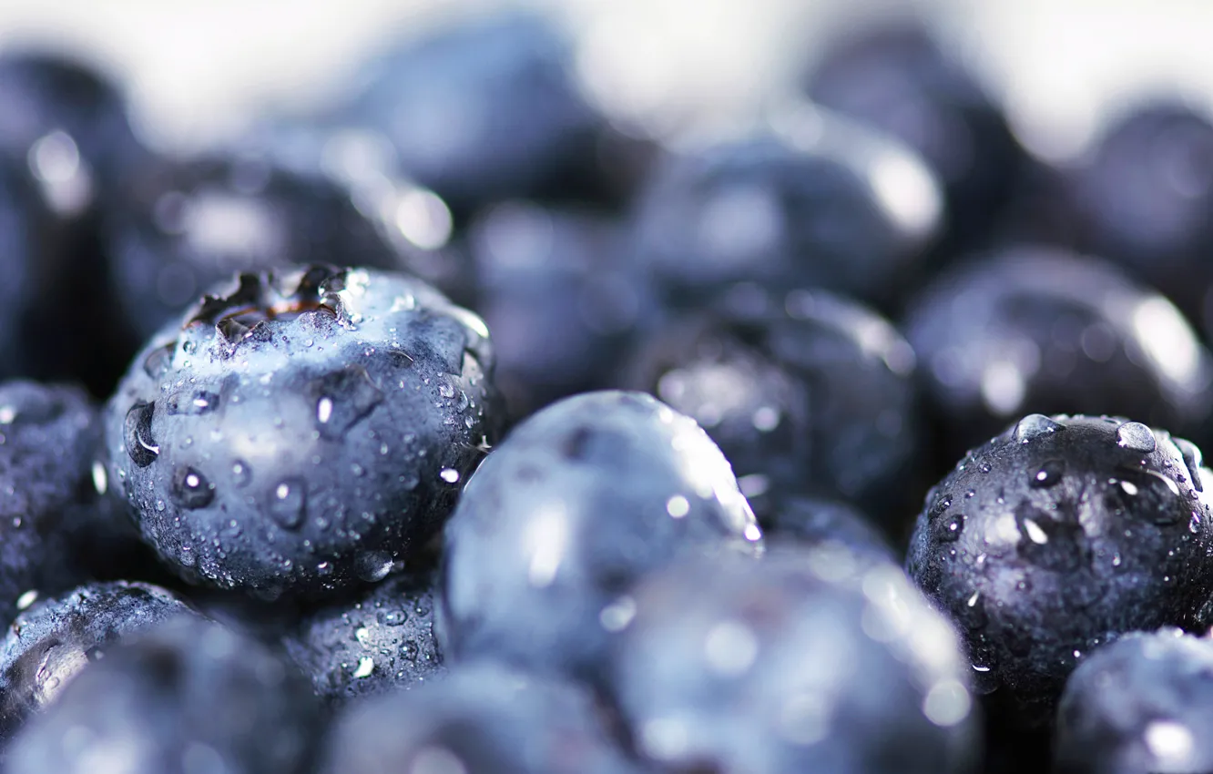 Photo wallpaper drops, berries, harvest, blueberries