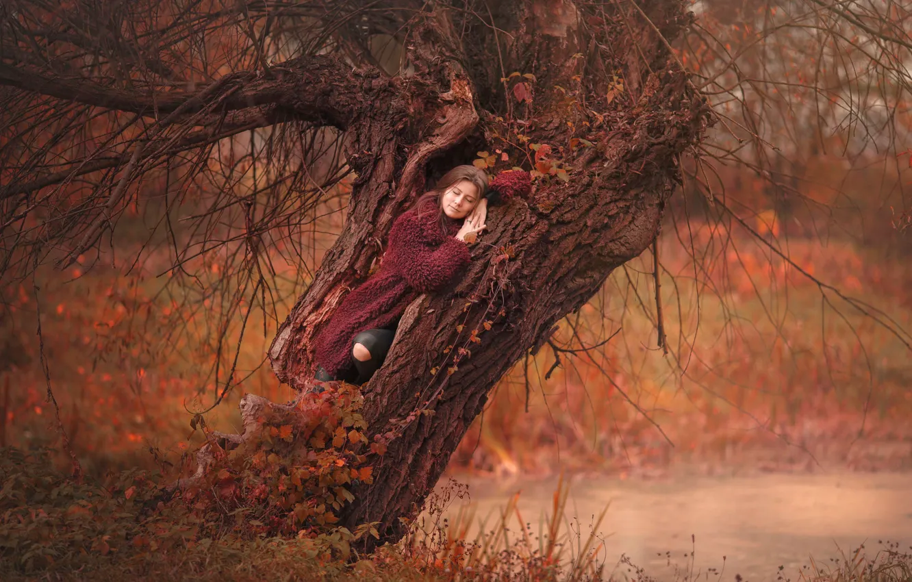 Photo wallpaper autumn, girl, branches, nature, pose, tree, stay, woman