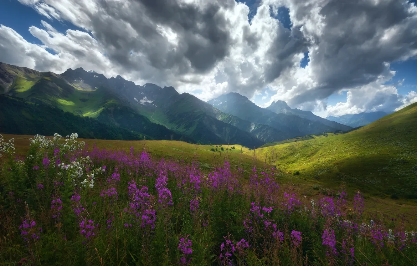 Photo wallpaper clouds, flowers, mountains, valley, meadow
