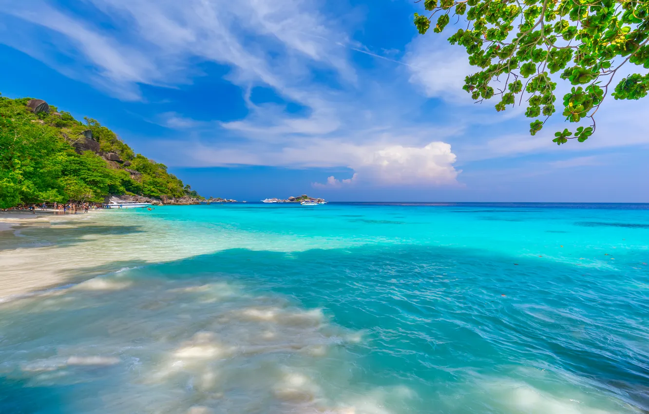 Photo wallpaper sand, sea, beach, summer, the sky, palm trees, summer, beach