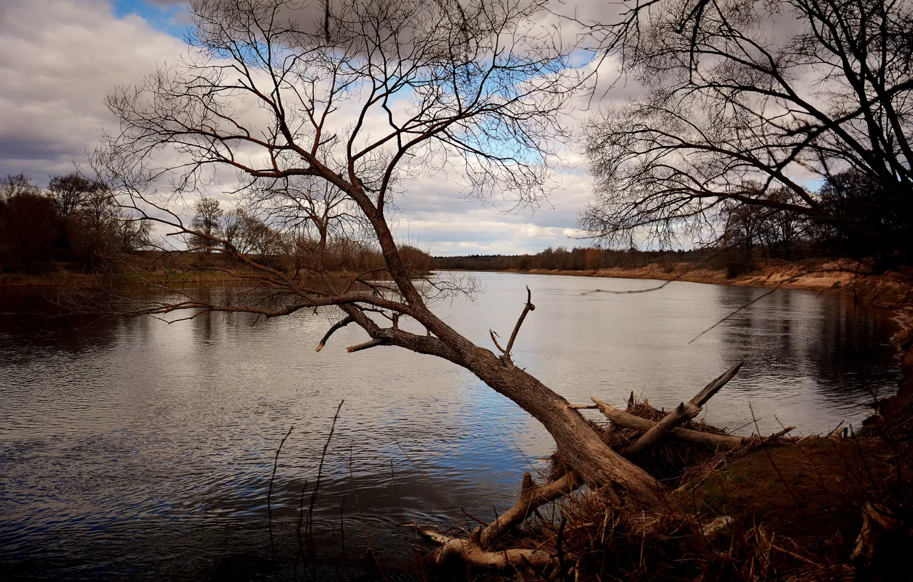 Photo wallpaper clouds, trees, river, spring