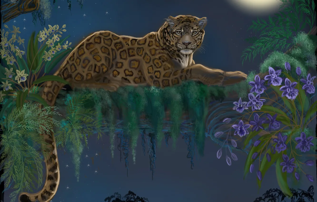 Photo wallpaper look, leaves, flowers, night, tree, animal, the moon, predator