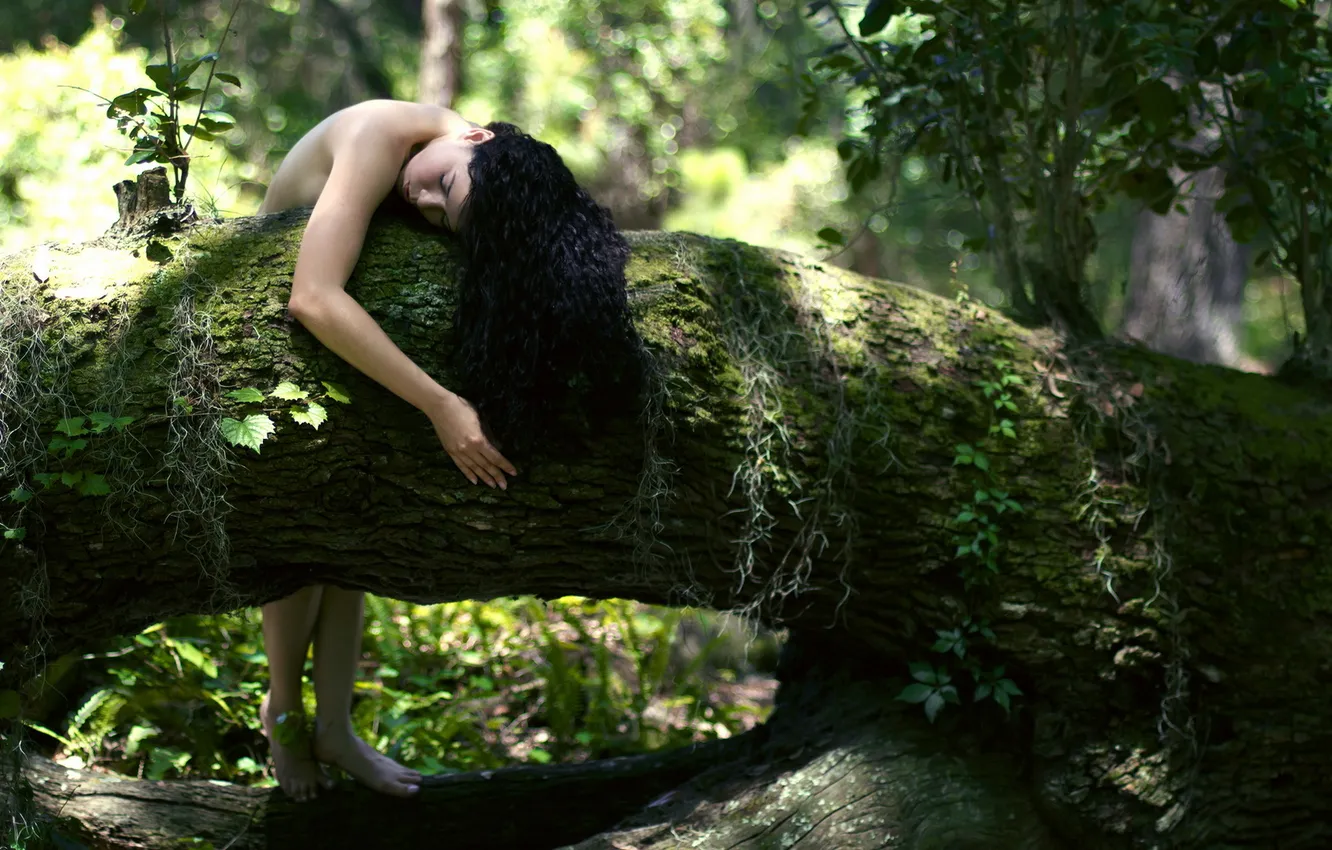 Photo wallpaper forest, girl, nature