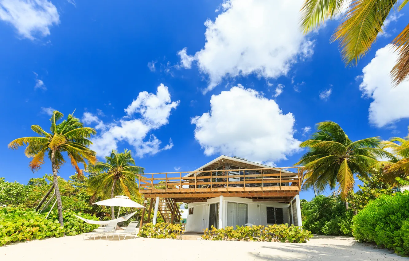 Photo wallpaper sand, greens, the sky, the sun, clouds, tropics, palm trees, home