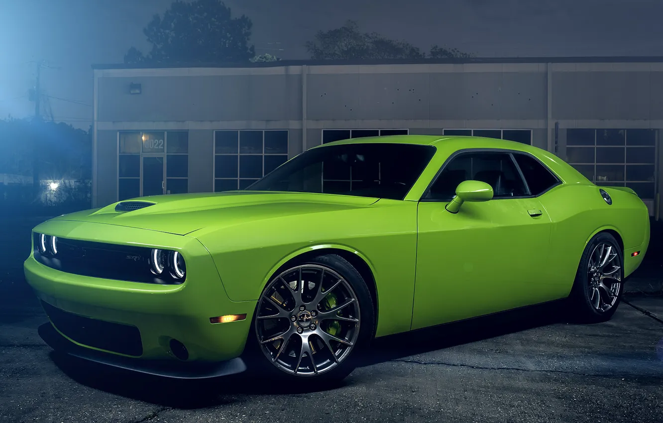 Photo wallpaper Muscle, Dodge, Challenger, Hell, Car, Green, Color, Cat
