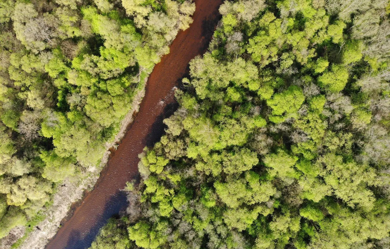 Photo wallpaper sky, nature, drone