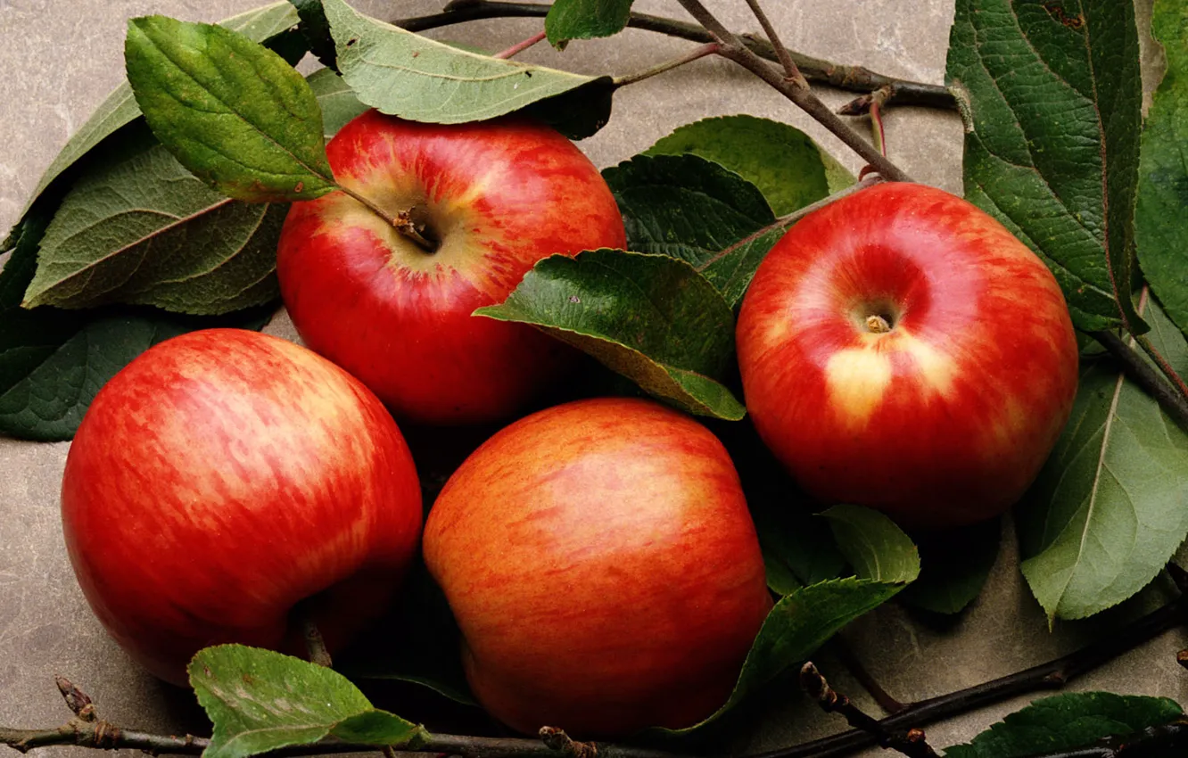 Photo wallpaper leaves, apples, food, fruit