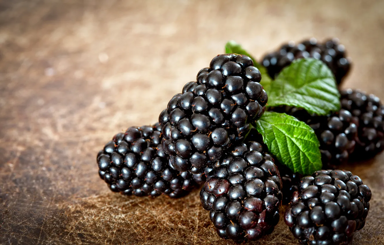 Photo wallpaper berries, leaf, BlackBerry