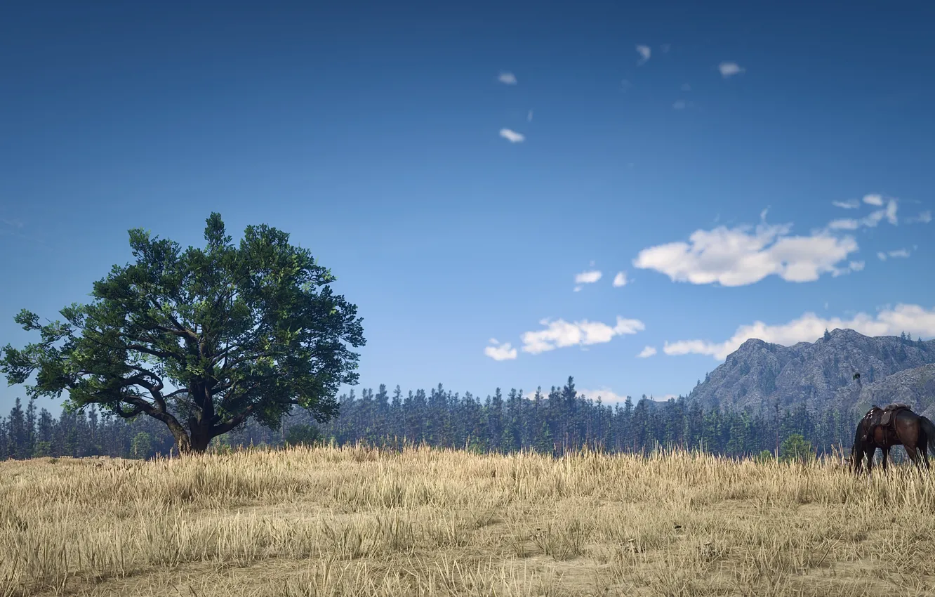 Photo wallpaper HDR, game, field, landscape, wood, clouds, mountain, tree