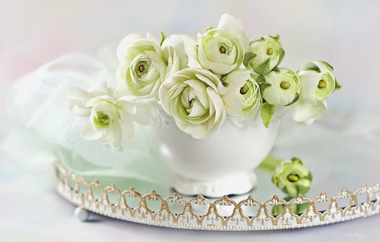 Photo wallpaper bouquet, vase, still life, Ranunculus
