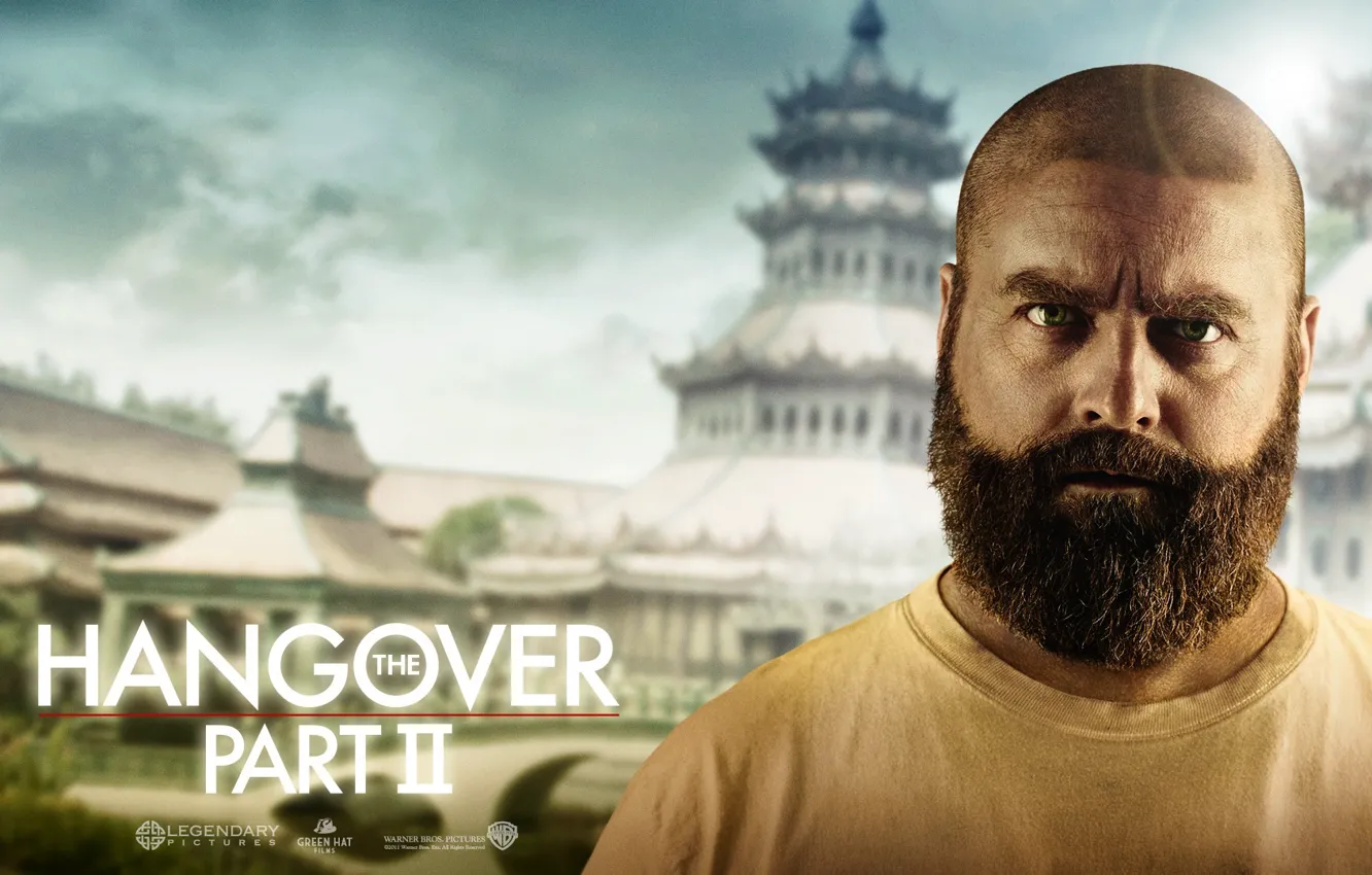 Photo wallpaper The Hangover Part 2, Zach Galifianakis, Zach Galifianakis, Bachelor party 2: From Vegas to Bangkok, …