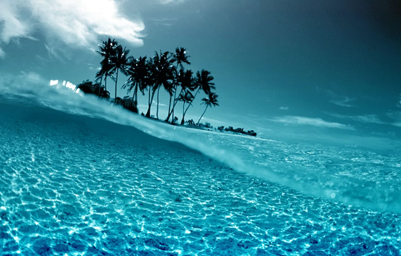 Photo wallpaper water, transparency, palm trees, the ocean, sunset, island, tropical