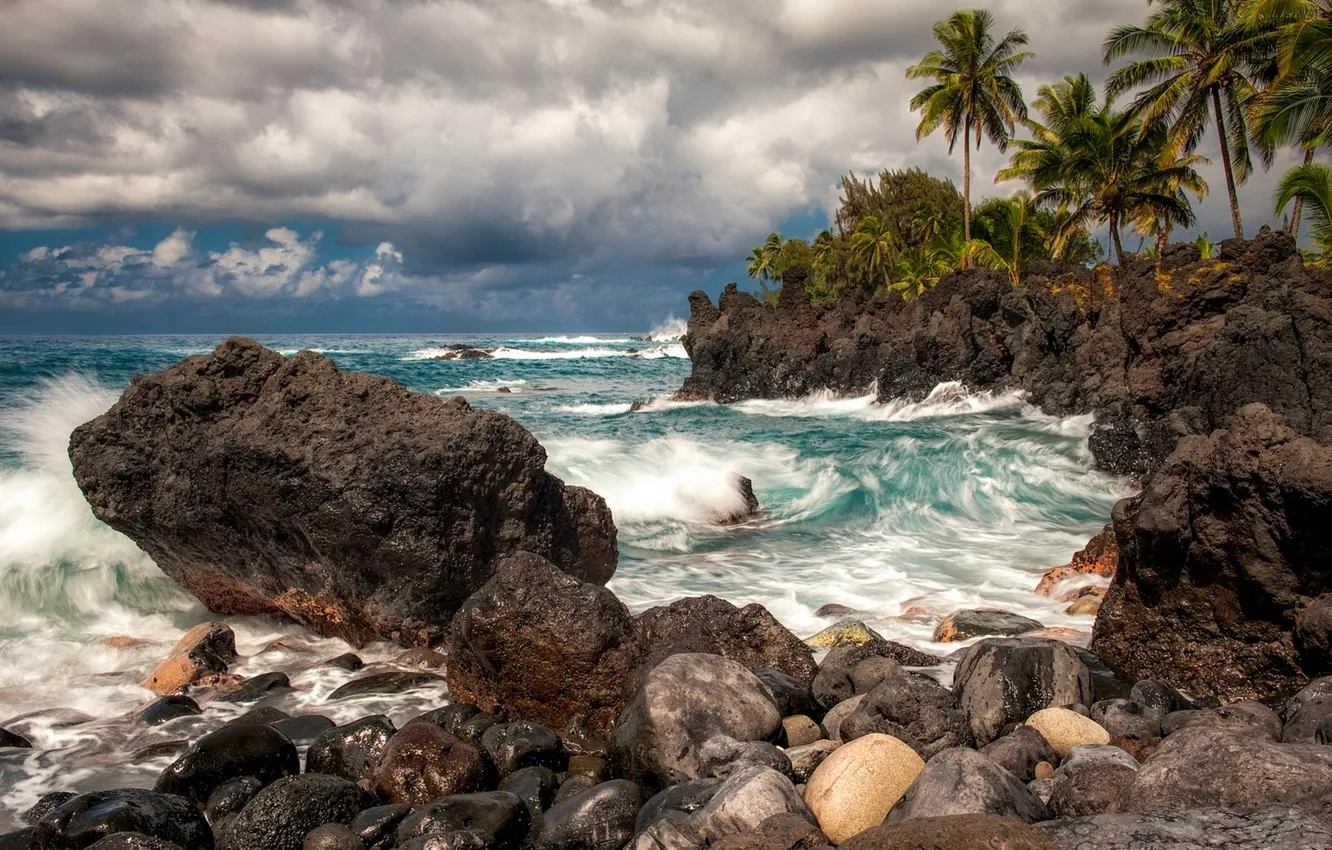 Photo wallpaper tropics, stones, palm trees, rocks, coast, Hawaii, surf, Hawaii