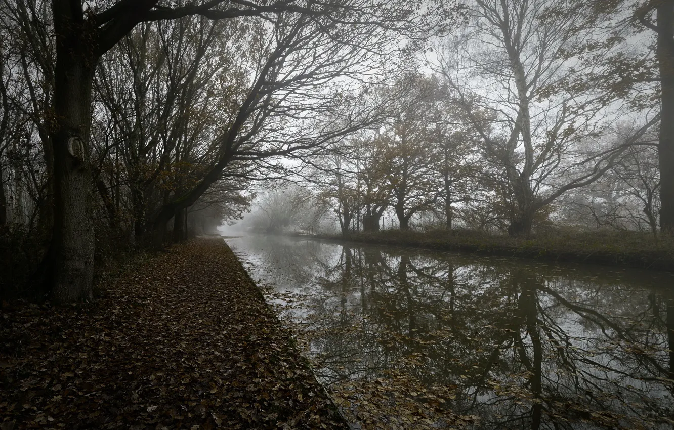 Photo wallpaper the city, street, spring