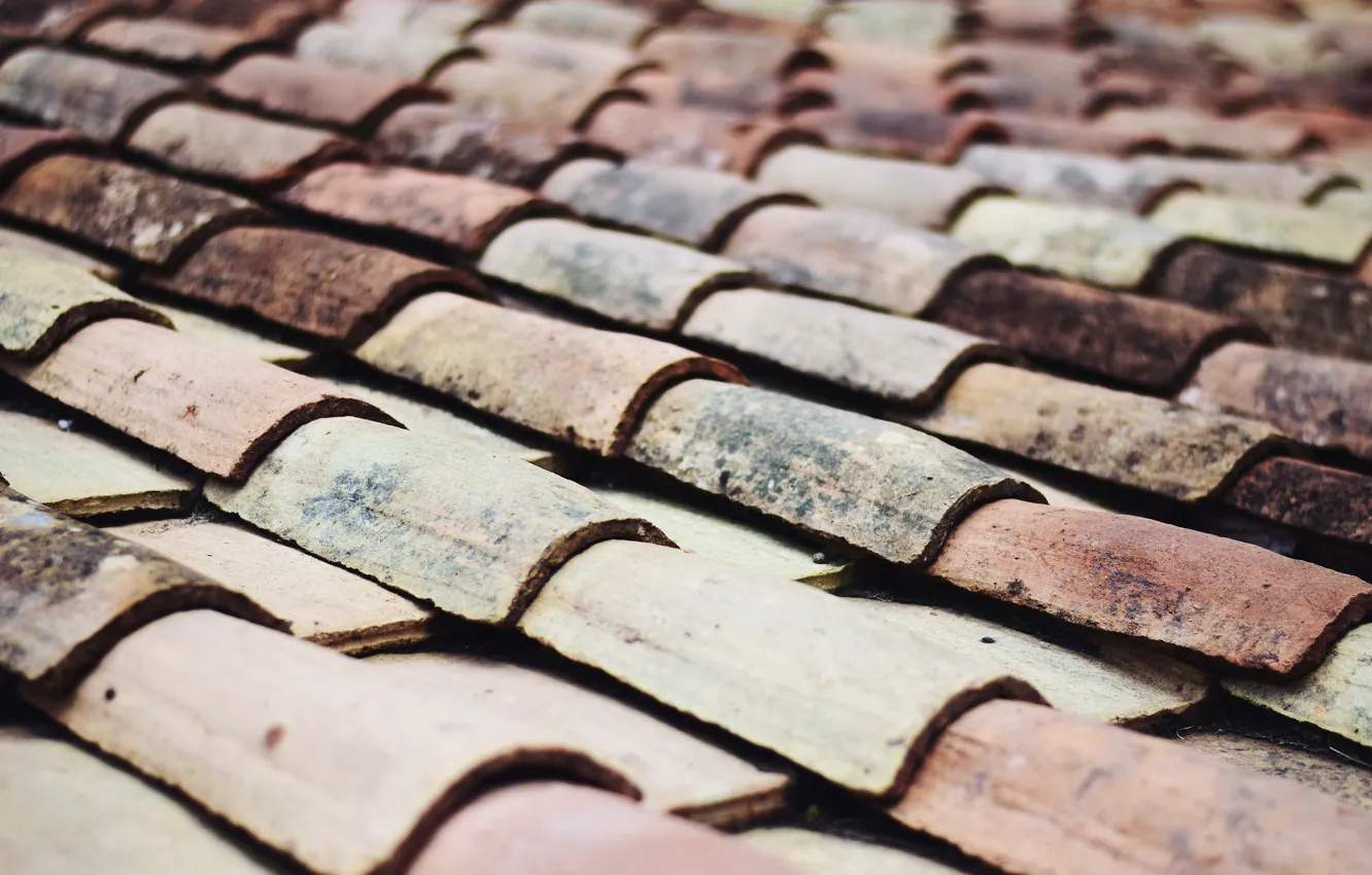 Photo wallpaper roof, background, tile