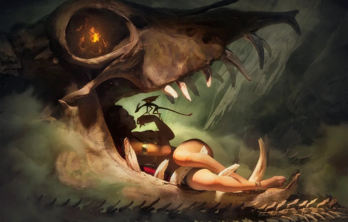 Photo wallpaper woman, skull, Mother of Dragons, Creative Commons, Illustration Pack