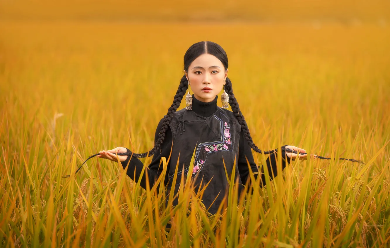 Photo wallpaper field, look, girl, nature, pose, Asian, Nick Vison
