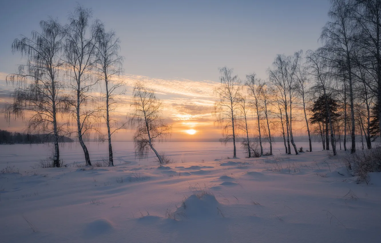 Photo wallpaper winter, snow, trees, sunset, Russia, birch, Sergey Mezhin