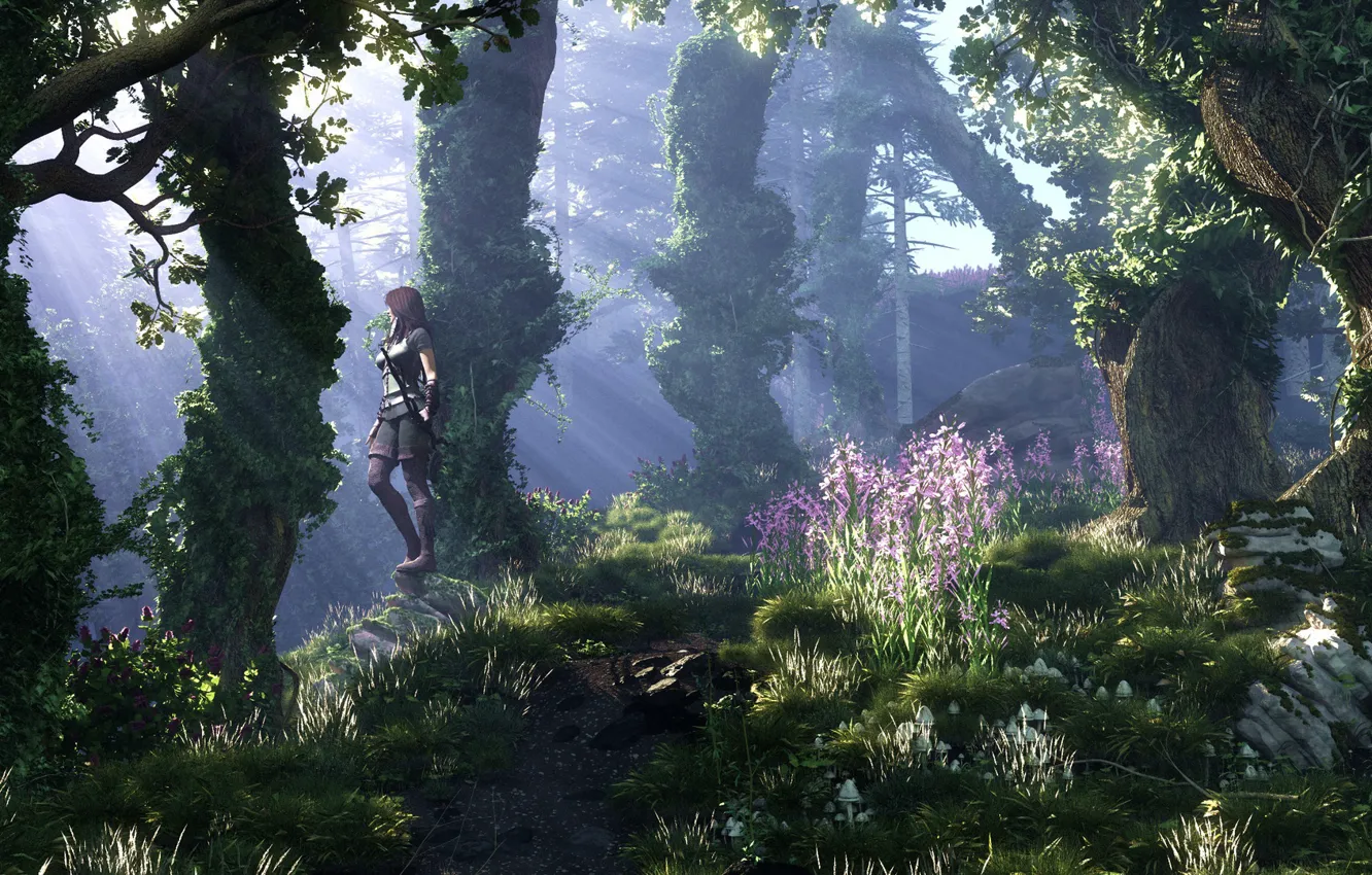 Photo wallpaper forest, girl, vegetation, Wooden View