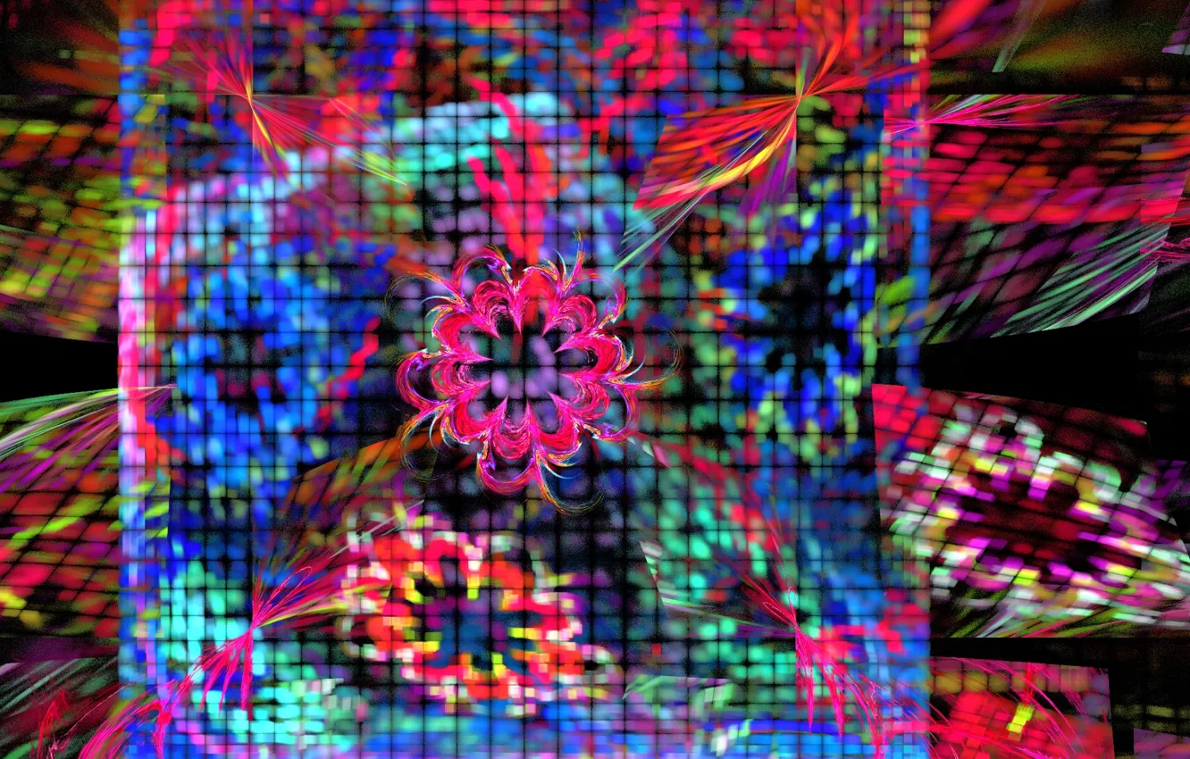 Photo wallpaper flowers, abstraction, background, mesh, Wallpaper, patterns, blur, fractal