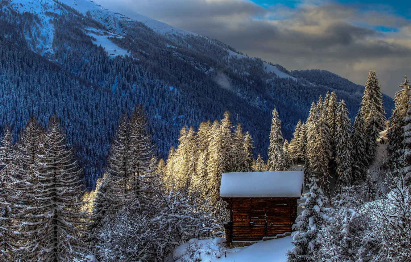 Photo wallpaper winter, forest, clouds, snow, trees, mountains, clouds, Switzerland