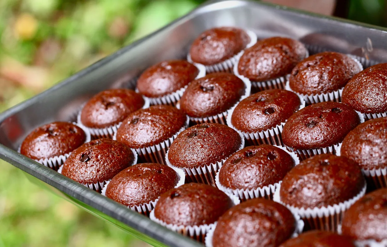 Photo wallpaper food, sweets, dessert, delicious, cupcakes