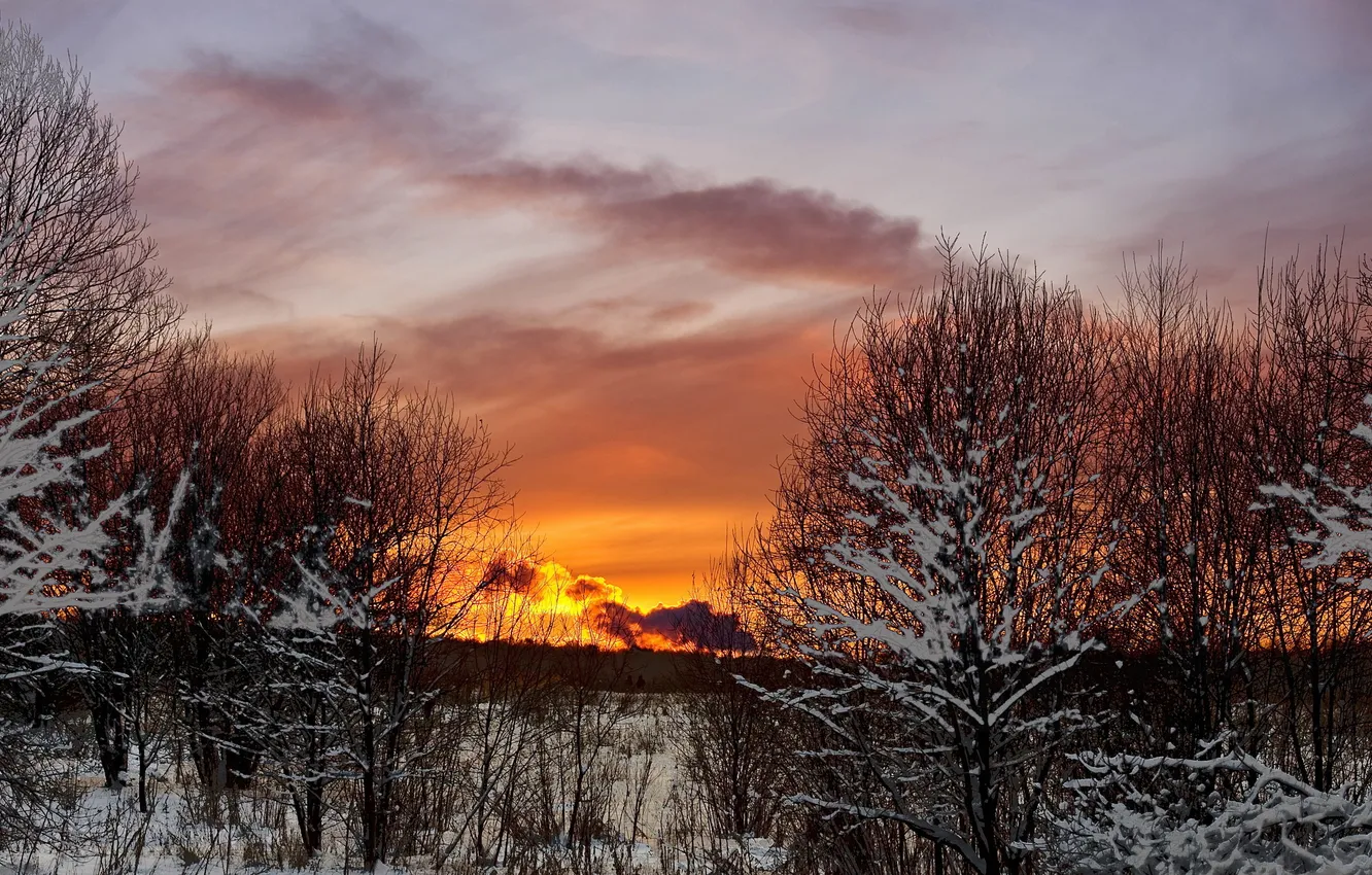 Photo wallpaper winter, the sky, clouds, snow, trees, sunset, the evening