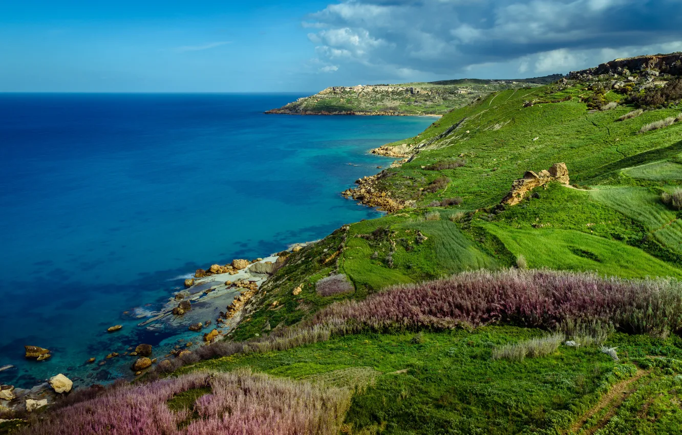 Photo wallpaper sea, grass, coast, Malta