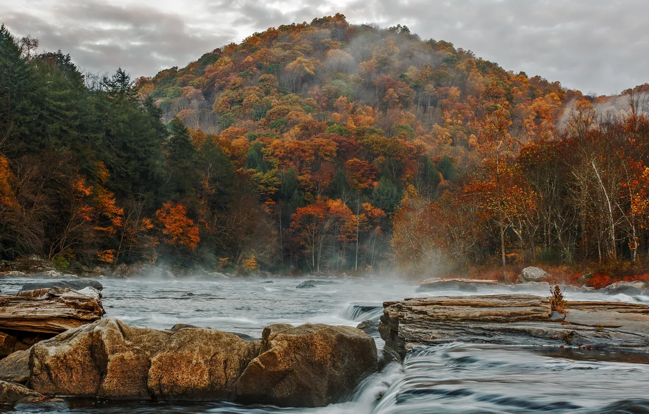 Photo wallpaper autumn, forest, the sky, mountains, clouds, river, stones