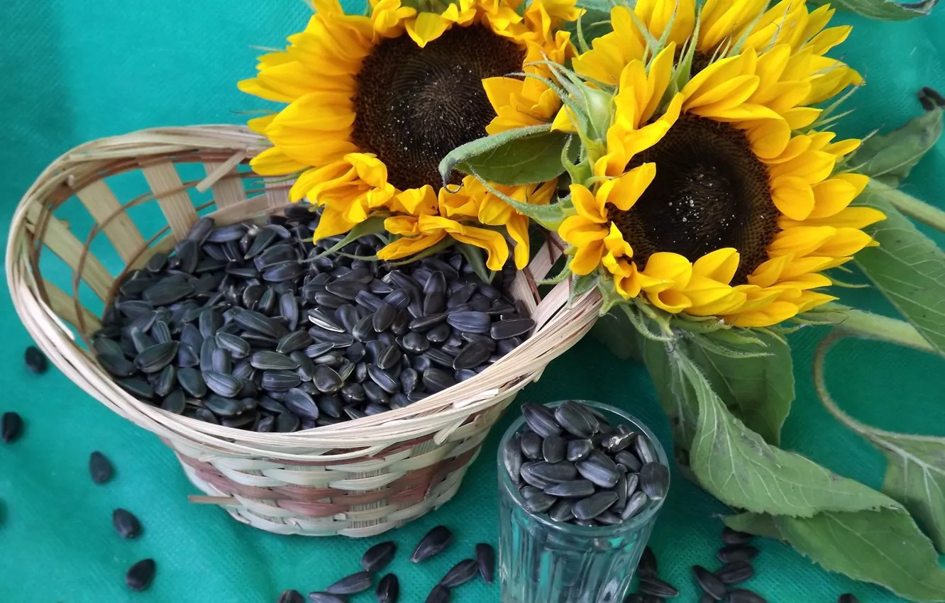 Photo wallpaper sunflowers, basket, seeds