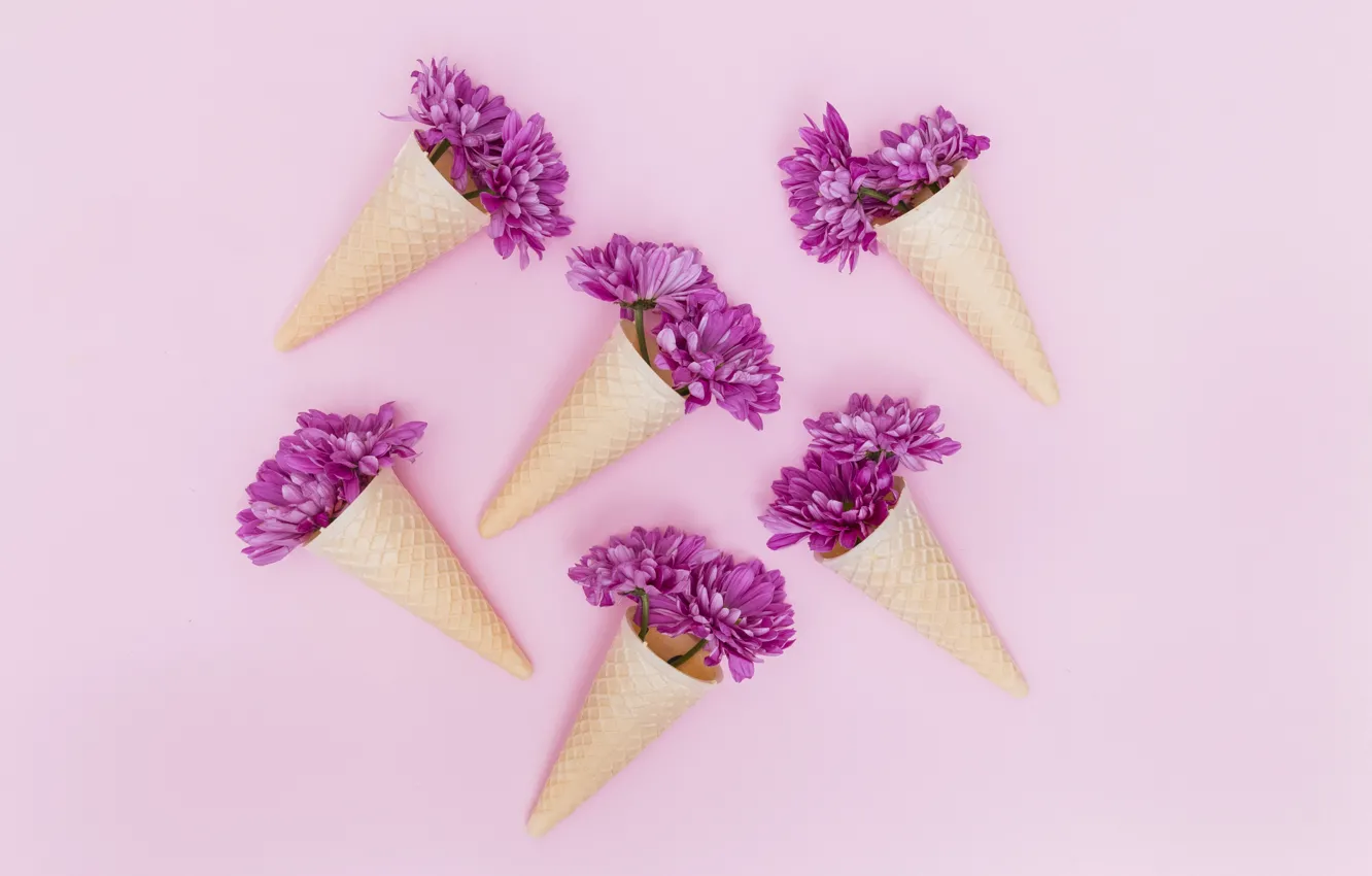 Photo wallpaper flowers, background, purple, flowers, purple