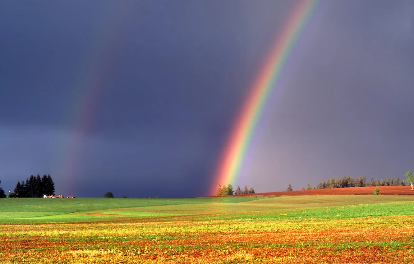 Photo wallpaper the sky, grass, trees, rainbow, meadow