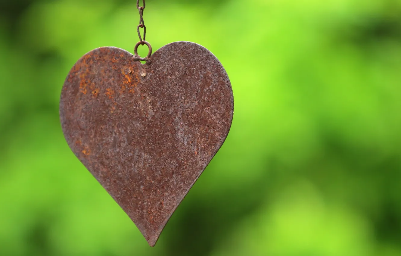 Photo wallpaper time, life, heart, rust