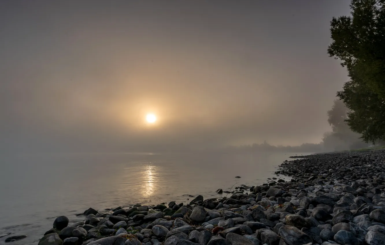 Photo wallpaper the sun, trees, fog, river, stones, dawn, shore, Switzerland