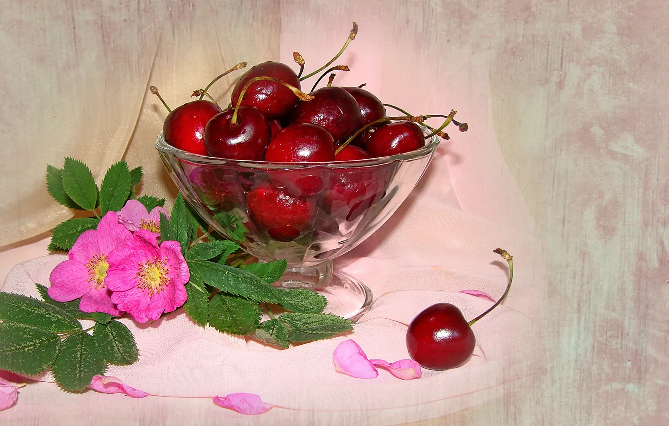 Photo wallpaper summer, flowers, nature, mood, beauty, bouquet, briar, beautiful