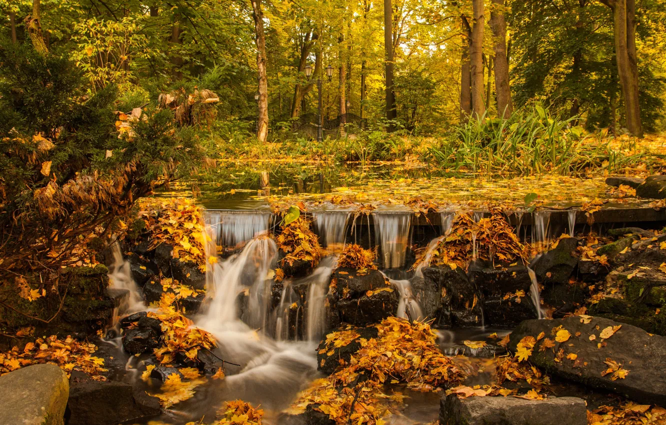 Photo wallpaper autumn, forest, waterfall