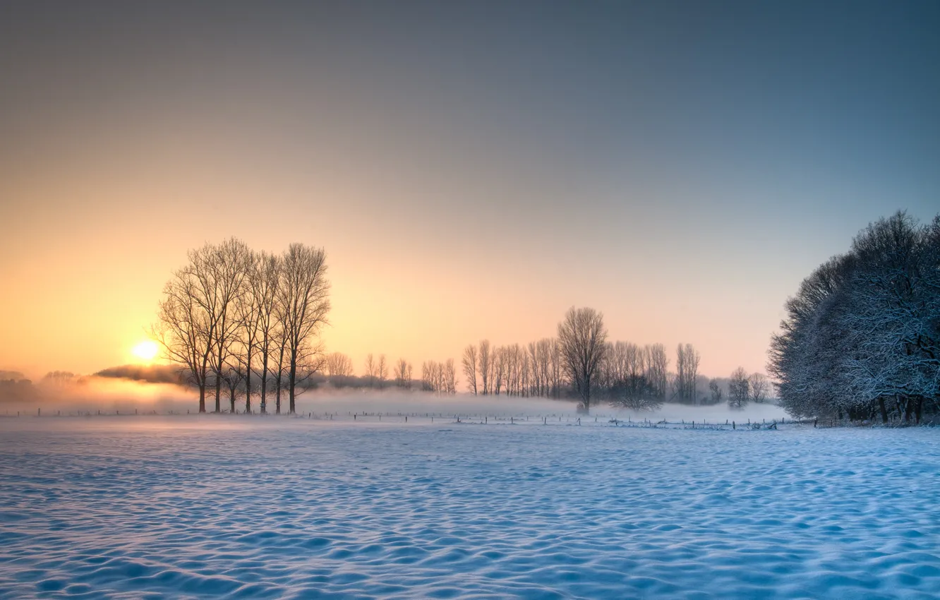 Photo wallpaper winter, field, the sky, the sun, snow, trees