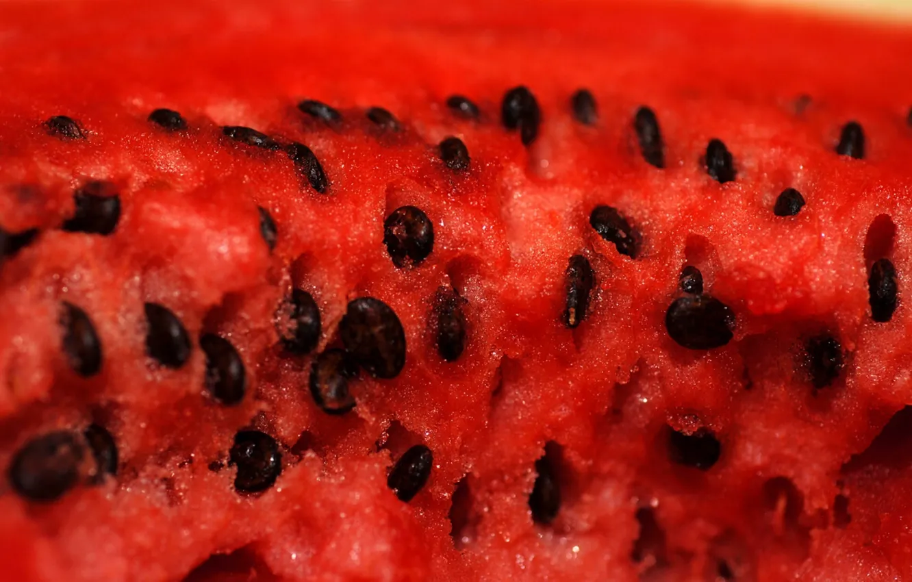 Photo wallpaper watermelon, bone, the flesh