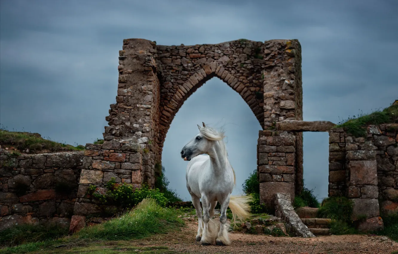 Photo wallpaper white, the sky, nature, horse, horse, arch, ruins