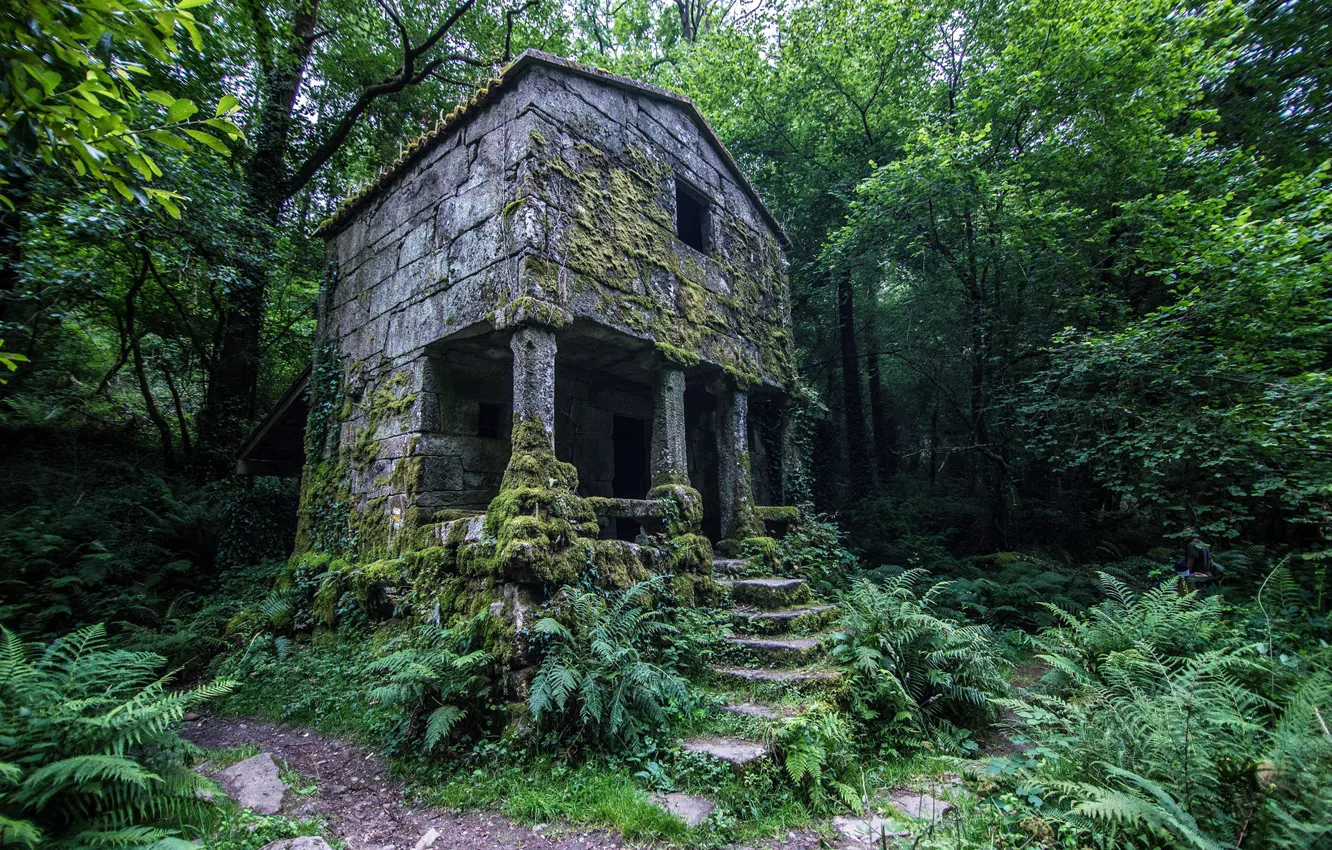 Photo wallpaper forest, the sky, thickets, home, columns, stage