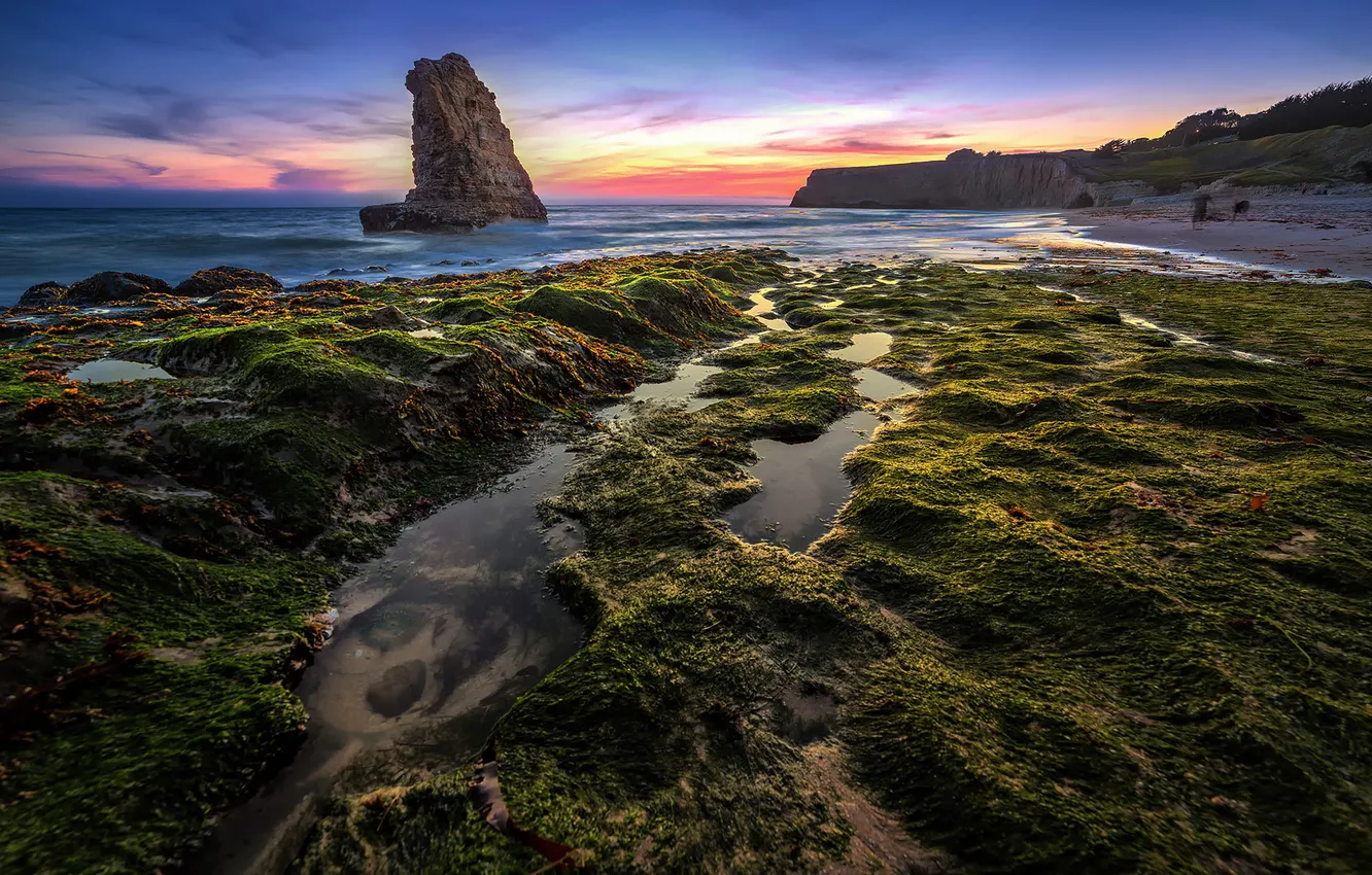Photo wallpaper beach, the sky, sunset, shore, moss, CA, The Pacific ocean