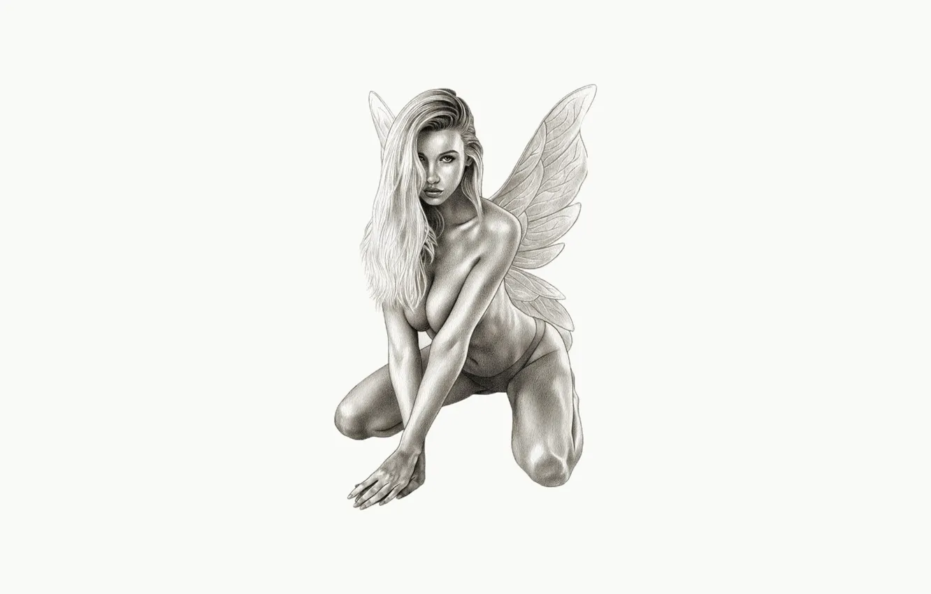 Photo wallpaper girl, butterfly, fairy