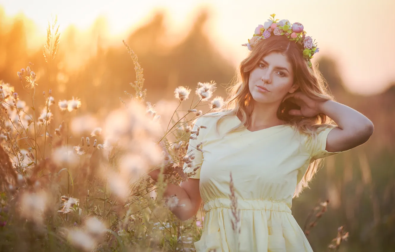 Photo wallpaper field, summer, look, girl, light, flowers, nature, pose